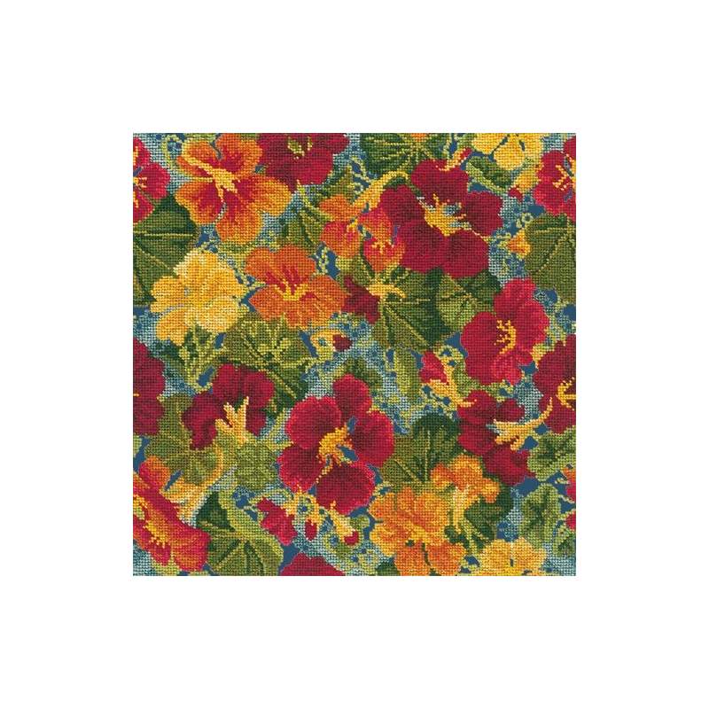 Elizabeth Bradley, Trellis Series, NASTURTIUM TRELLIS - 16x16 pollici Elizabeth Bradley - 16