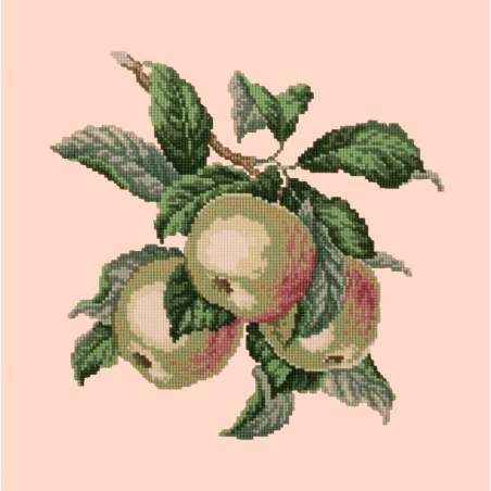 Elizabeth Bradley, Botanical Fruits, APPLES - 16x16 pollici Elizabeth Bradley - 1