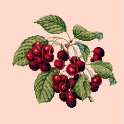 Elizabeth Bradley, Botanical Fruits, CHERRIES - 16x16 pollici Elizabeth Bradley - 1