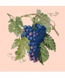 Elizabeth Bradley, Botanical Fruits, GRAPES - 16x16 pollici Elizabeth Bradley - 1