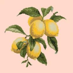 Elizabeth Bradley, Botanical Fruits, LEMONS - 16x16 pollici Elizabeth Bradley - 1