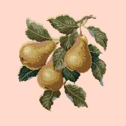 Elizabeth Bradley, Botanical Fruits, PEARS - 16x16 pollici Elizabeth Bradley - 1