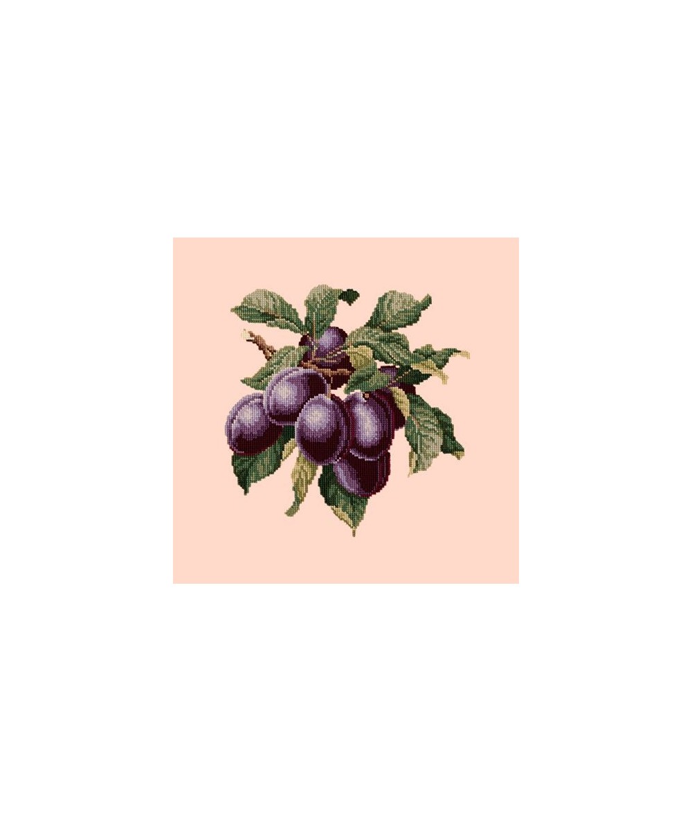 Elizabeth Bradley, Botanical Fruits, PLUMS - 16x16 pollici Elizabeth Bradley - 1