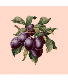 Elizabeth Bradley, Botanical Fruits, PLUMS - 16x16 pollici Elizabeth Bradley - 1