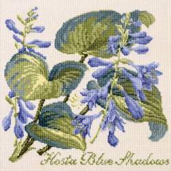 Elizabeth Bradley, Shade Garden, HOSTA BLU SHADOWS - 16x16 pollici Elizabeth Bradley - 1