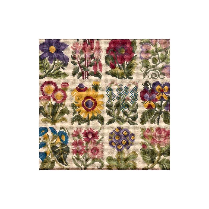 Elizabeth Bradley, Floribunda, COTTAGE GARDEN FAVOURITES - 12x12 pollici Elizabeth Bradley - 1