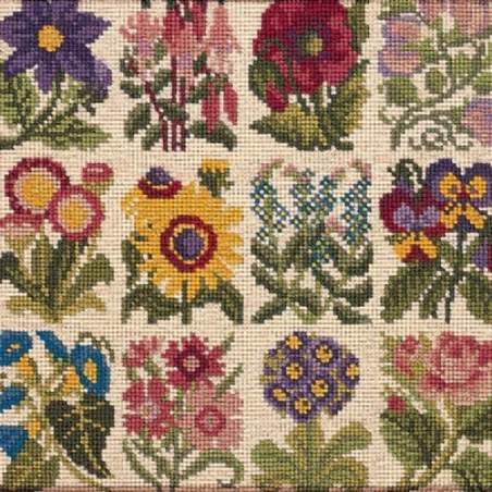 Elizabeth Bradley, Floribunda, COTTAGE GARDEN FAVOURITES - 12x12 pollici Elizabeth Bradley - 1