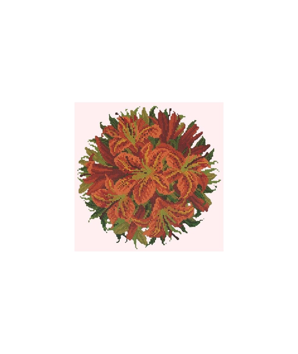 Elizabeth Bradley, Floribunda, LILY BALL - 12x12 pollici Elizabeth Bradley - 1