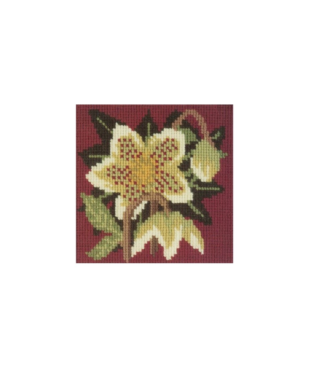 Elizabeth Bradley, Mini Kits, CHRISTMAS ROSE - 6x6 pollici Elizabeth Bradley - 1