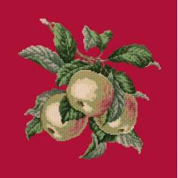 Elizabeth Bradley, Botanical Fruits, APPLES - 16x16 pollici Elizabeth Bradley - 4
