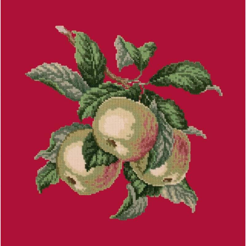 Elizabeth Bradley, Botanical Fruits, APPLES - 16x16 pollici Elizabeth Bradley - 4 Elizabeth Bradley, Botanical Fruits, APPLES - 16x16 pollici Elizabeth Bradley - 4