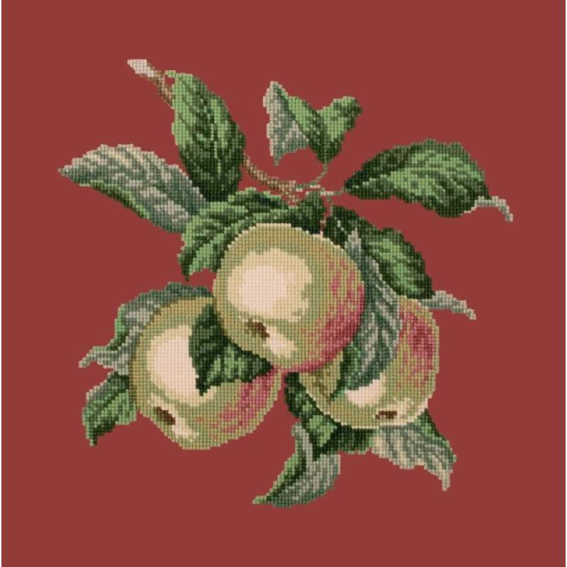 Elizabeth Bradley, Botanical Fruits, APPLES - 16x16 pollici Elizabeth Bradley - 5