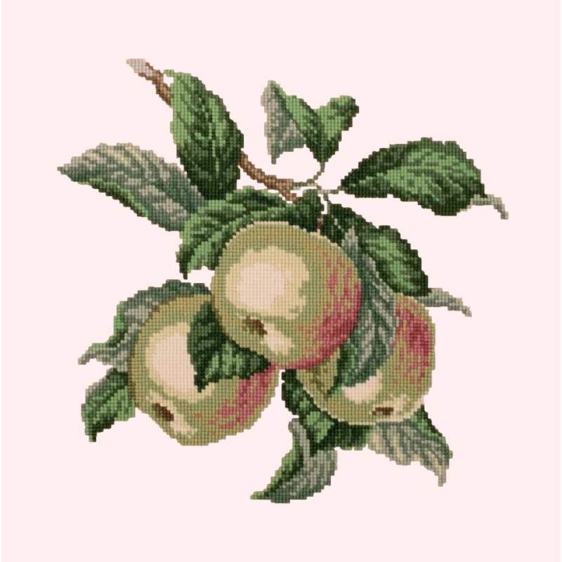 Elizabeth Bradley, Botanical Fruits, APPLES - 16x16 pollici Elizabeth Bradley - 12 Elizabeth Bradley, Botanical Fruits, APPLES - 16x16 pollici Elizabeth Bradley - 12