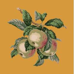 Elizabeth Bradley, Botanical Fruits, APPLES - 16x16 pollici Elizabeth Bradley - 13