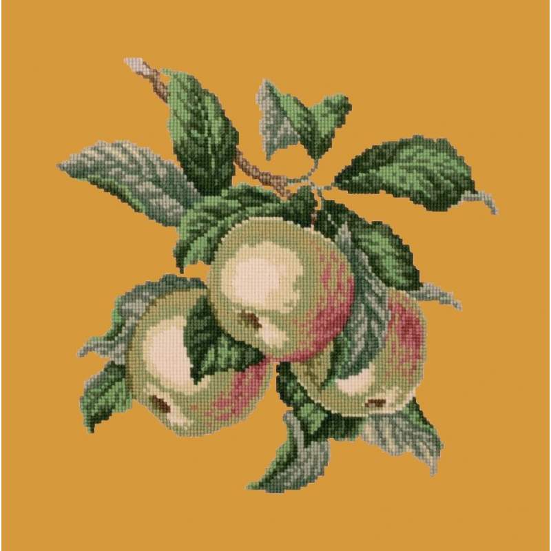Elizabeth Bradley, Botanical Fruits, APPLES - 16x16 pollici Elizabeth Bradley - 13 Elizabeth Bradley, Botanical Fruits, APPLES - 16x16 pollici Elizabeth Bradley - 13