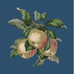 Elizabeth Bradley, Botanical Fruits, APPLES - 16x16 pollici Elizabeth Bradley - 16