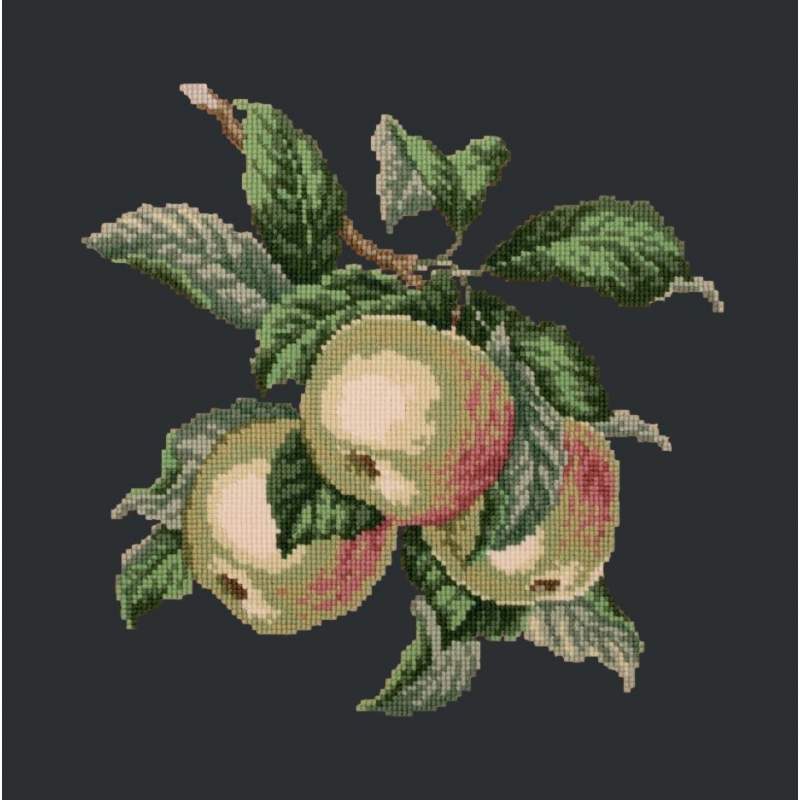 Elizabeth Bradley, Botanical Fruits, APPLES - 16x16 pollici Elizabeth Bradley - 18 Elizabeth Bradley, Botanical Fruits, APPLES - 16x16 pollici Elizabeth Bradley - 18