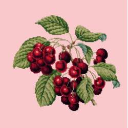 Elizabeth Bradley, Botanical Fruits, CHERRIES - 16x16 pollici Elizabeth Bradley - 2