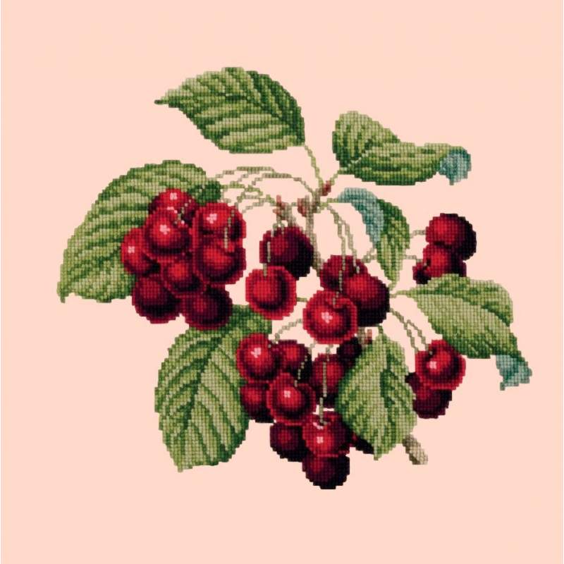 Elizabeth Bradley, Botanical Fruits, CHERRIES - 16x16 pollici Elizabeth Bradley - 3 Elizabeth Bradley, Botanical Fruits, CHERRIES - 16x16 pollici Elizabeth Bradley - 3