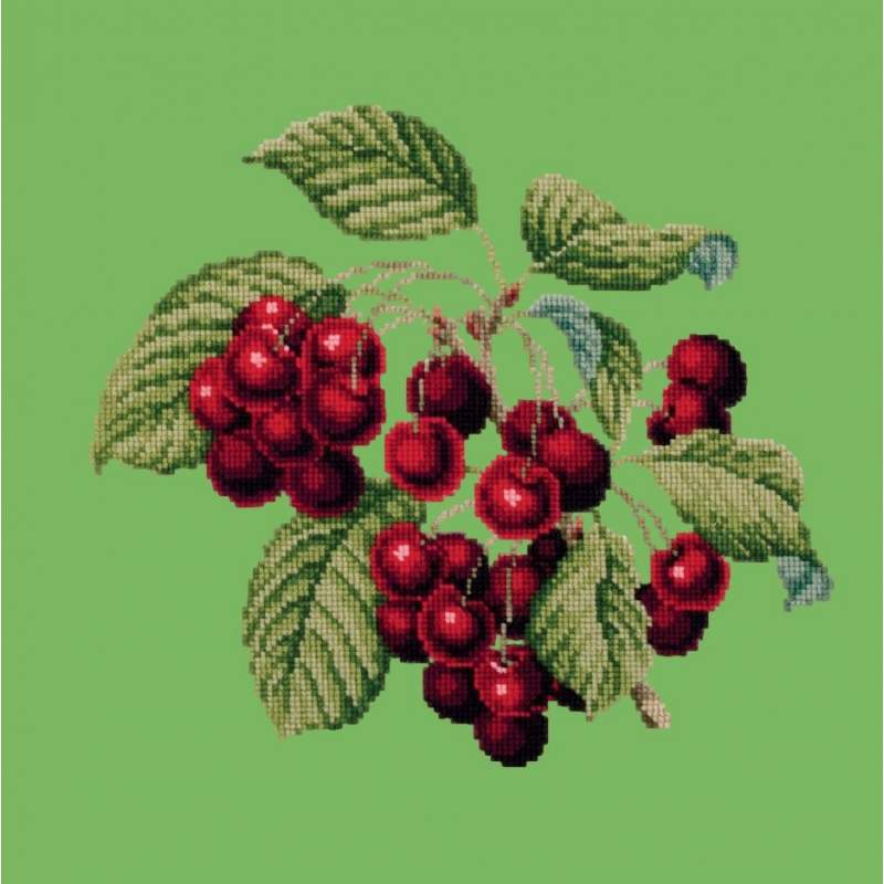 Elizabeth Bradley, Botanical Fruits, CHERRIES - 16x16 pollici Elizabeth Bradley - 7 Elizabeth Bradley, Botanical Fruits, CHERRIES - 16x16 pollici Elizabeth Bradley - 7