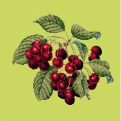 Elizabeth Bradley, Botanical Fruits, CHERRIES - 16x16 pollici Elizabeth Bradley - 8