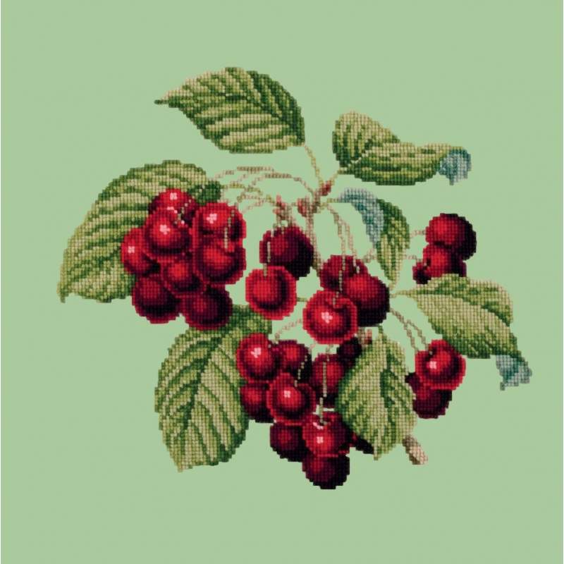 Elizabeth Bradley, Botanical Fruits, CHERRIES - 16x16 pollici Elizabeth Bradley - 9 Elizabeth Bradley, Botanical Fruits, CHERRIES - 16x16 pollici Elizabeth Bradley - 9