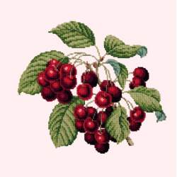 Elizabeth Bradley, Botanical Fruits, CHERRIES - 16x16 pollici Elizabeth Bradley - 12