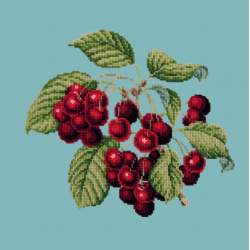 Elizabeth Bradley, Botanical Fruits, CHERRIES - 16x16 pollici Elizabeth Bradley - 15