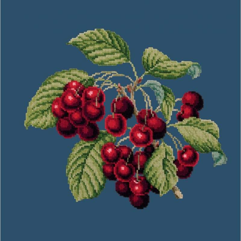 Elizabeth Bradley, Botanical Fruits, CHERRIES - 16x16 pollici Elizabeth Bradley - 16