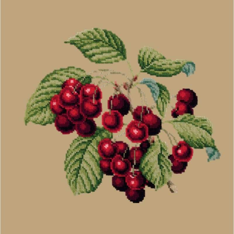 Elizabeth Bradley, Botanical Fruits, CHERRIES - 16x16 pollici Elizabeth Bradley - 17 Elizabeth Bradley, Botanical Fruits, CHERRIES - 16x16 pollici Elizabeth Bradley - 17