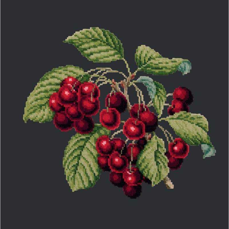 Elizabeth Bradley, Botanical Fruits, CHERRIES - 16x16 pollici Elizabeth Bradley - 18