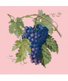 Elizabeth Bradley, Botanical Fruits, GRAPES - 16x16 pollici Elizabeth Bradley - 2