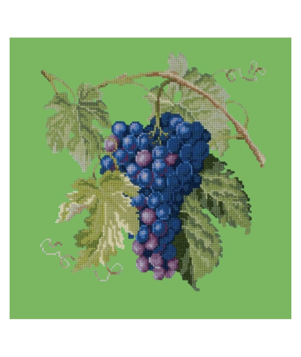 Elizabeth Bradley, Botanical Fruits, GRAPES - 16x16 pollici Elizabeth Bradley - 7