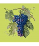 Elizabeth Bradley, Botanical Fruits, GRAPES - 16x16 pollici Elizabeth Bradley - 8