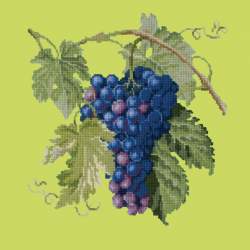 Elizabeth Bradley, Botanical Fruits, GRAPES - 16x16 pollici Elizabeth Bradley - 8