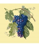 Elizabeth Bradley, Botanical Fruits, GRAPES - 16x16 pollici Elizabeth Bradley - 10