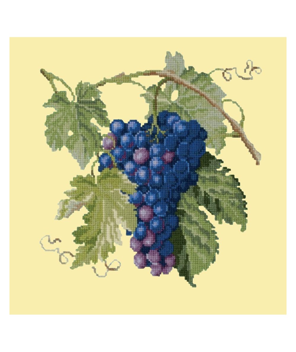 Elizabeth Bradley, Botanical Fruits, GRAPES - 16x16 pollici Elizabeth Bradley - 10 Elizabeth Bradley, Botanical Fruits, GRAPES - 16x16 pollici Elizabeth Bradley - 10