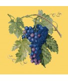Elizabeth Bradley, Botanical Fruits, GRAPES - 16x16 pollici Elizabeth Bradley - 11