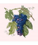 Elizabeth Bradley, Botanical Fruits, GRAPES - 16x16 pollici Elizabeth Bradley - 12