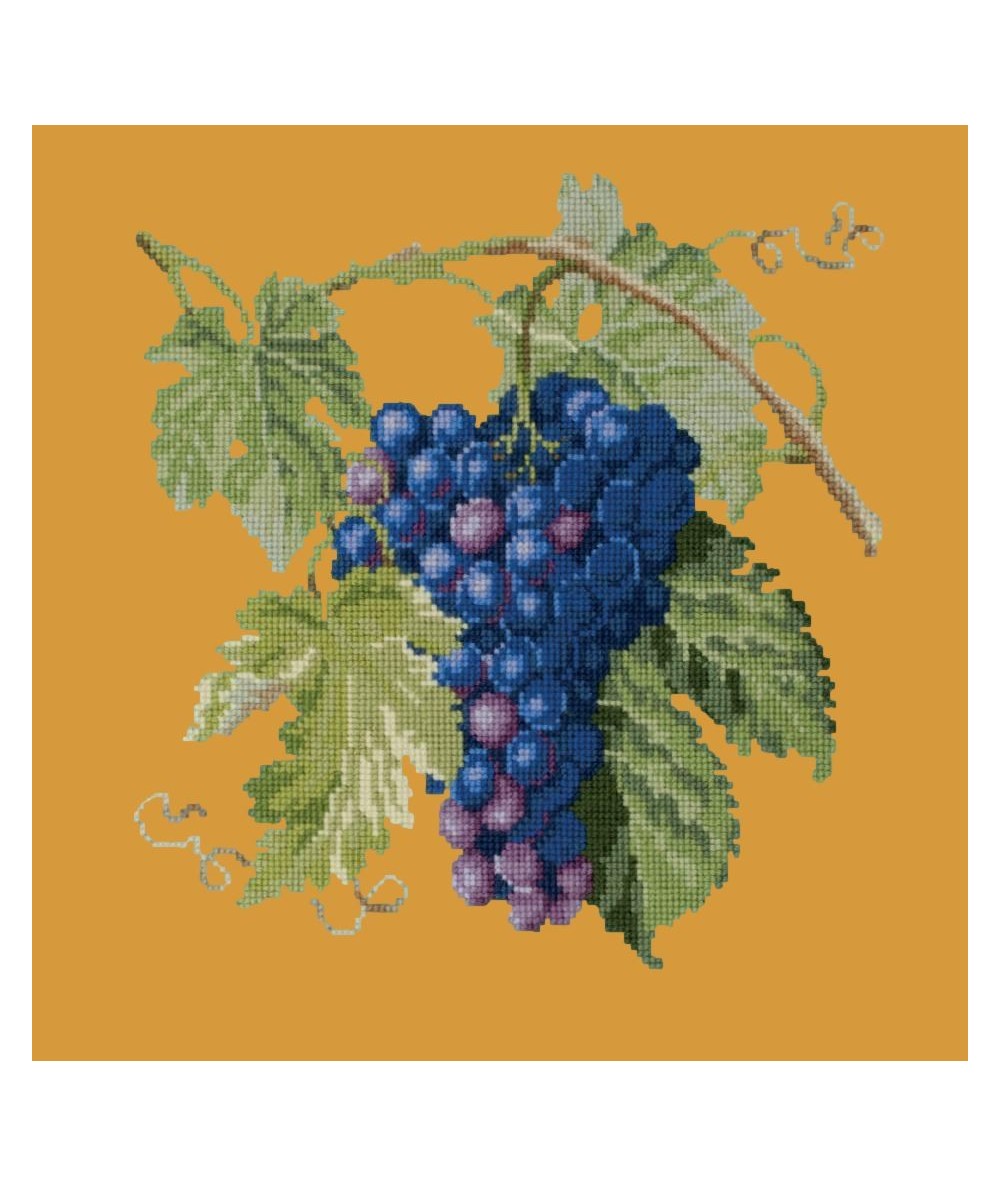 Elizabeth Bradley, Botanical Fruits, GRAPES - 16x16 pollici Elizabeth Bradley - 13 Elizabeth Bradley, Botanical Fruits, GRAPES - 16x16 pollici Elizabeth Bradley - 13