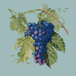 Elizabeth Bradley, Botanical Fruits, GRAPES - 16x16 pollici Elizabeth Bradley - 14