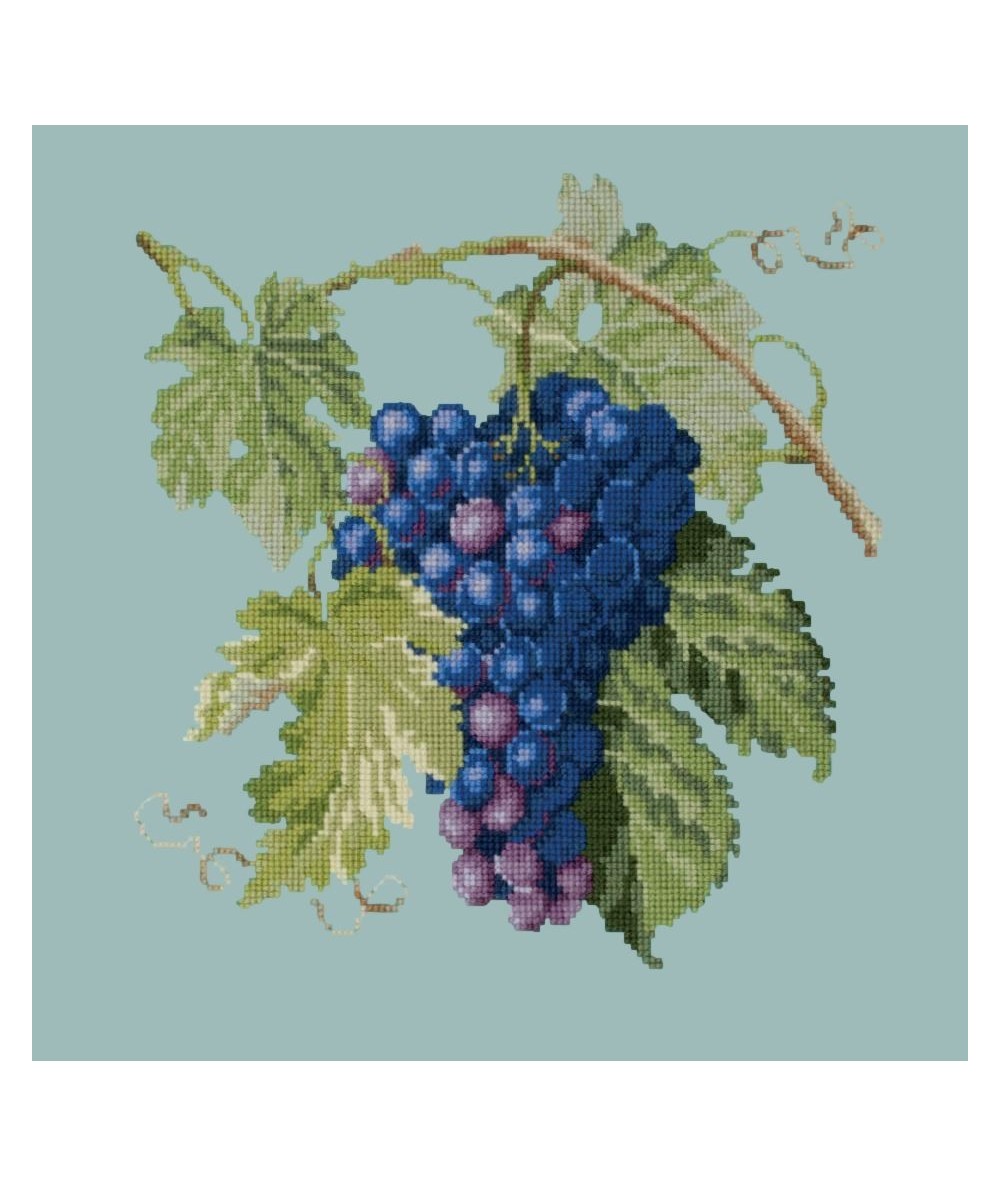 Elizabeth Bradley, Botanical Fruits, GRAPES - 16x16 pollici Elizabeth Bradley - 14 Elizabeth Bradley, Botanical Fruits, GRAPES - 16x16 pollici Elizabeth Bradley - 14