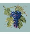Elizabeth Bradley, Botanical Fruits, GRAPES - 16x16 pollici Elizabeth Bradley - 14