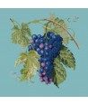 Elizabeth Bradley, Botanical Fruits, GRAPES - 16x16 pollici Elizabeth Bradley - 15