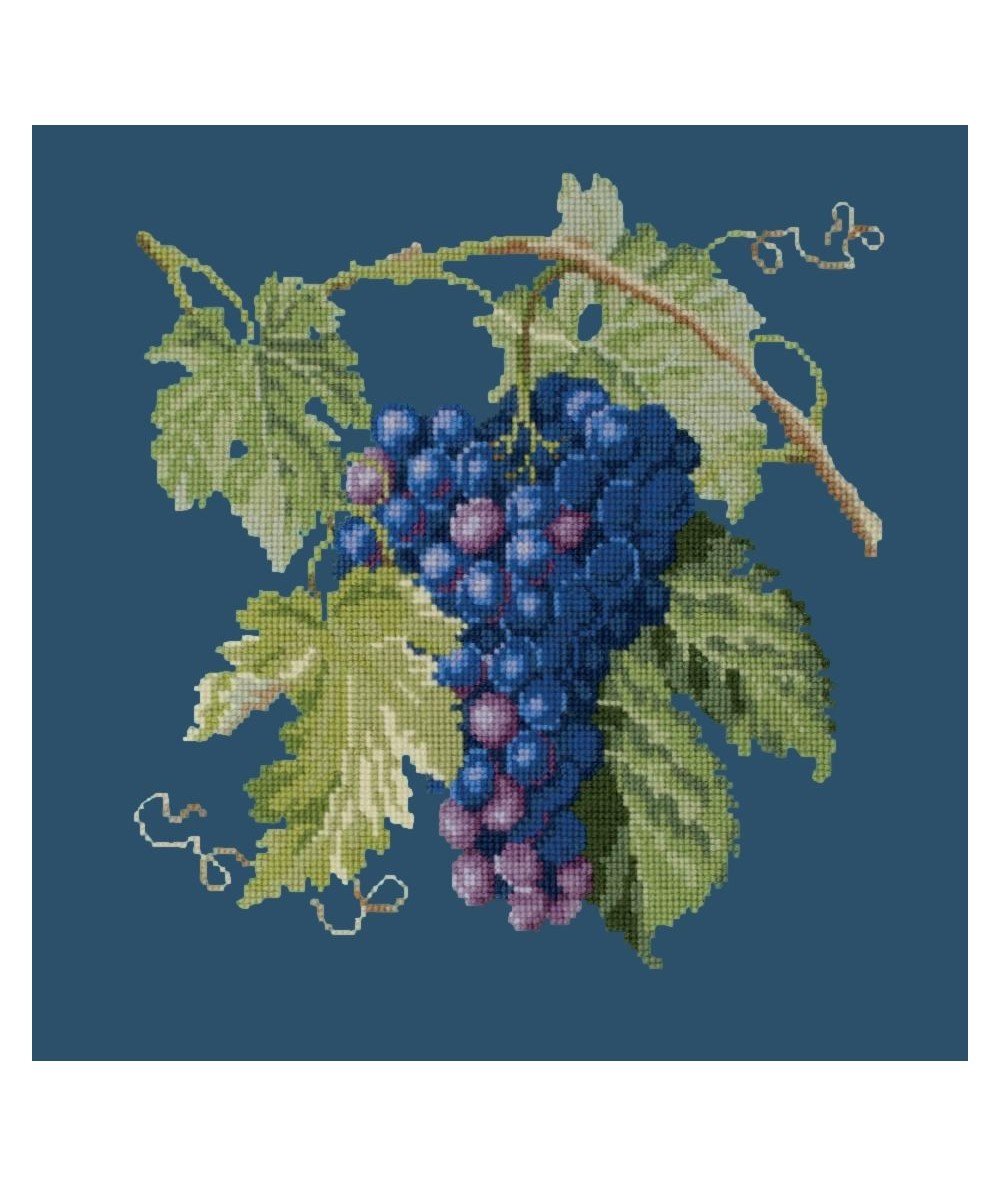 Elizabeth Bradley, Botanical Fruits, GRAPES - 16x16 pollici Elizabeth Bradley - 16