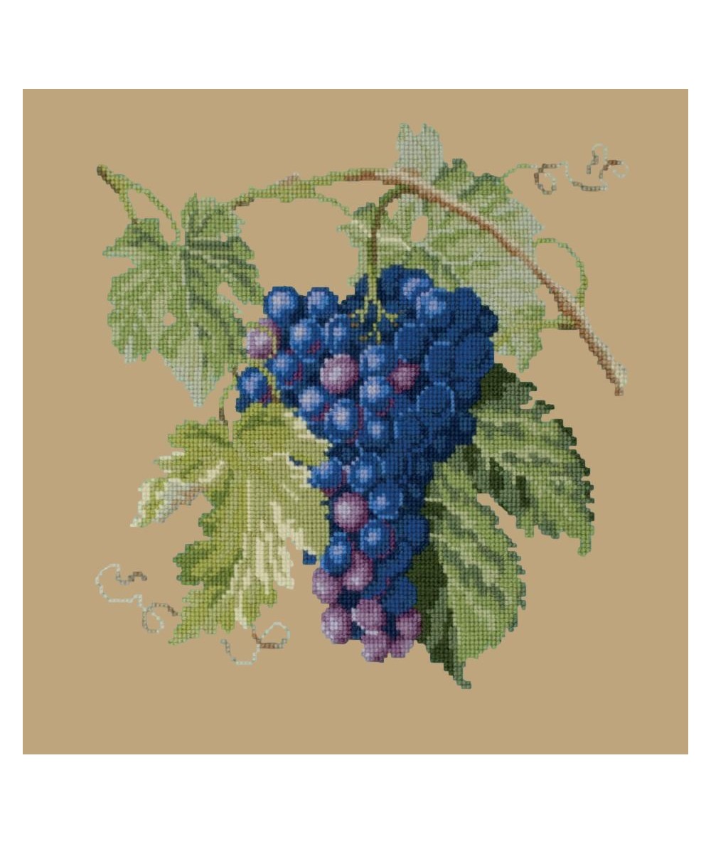 Elizabeth Bradley, Botanical Fruits, GRAPES - 16x16 pollici Elizabeth Bradley - 17