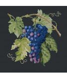Elizabeth Bradley, Botanical Fruits, GRAPES - 16x16 pollici Elizabeth Bradley - 18