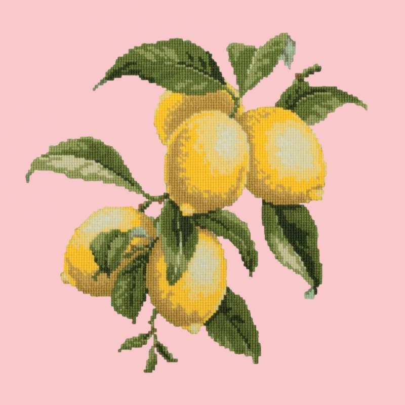 Elizabeth Bradley, Botanical Fruits, LEMONS - 16x16 pollici Elizabeth Bradley - 2 Elizabeth Bradley, Botanical Fruits, LEMONS - 16x16 pollici Elizabeth Bradley - 2