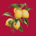 Elizabeth Bradley, Botanical Fruits, LEMONS - 16x16 pollici Elizabeth Bradley - 4
