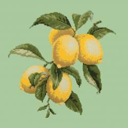 Elizabeth Bradley, Botanical Fruits, LEMONS - 16x16 pollici Elizabeth Bradley - 9